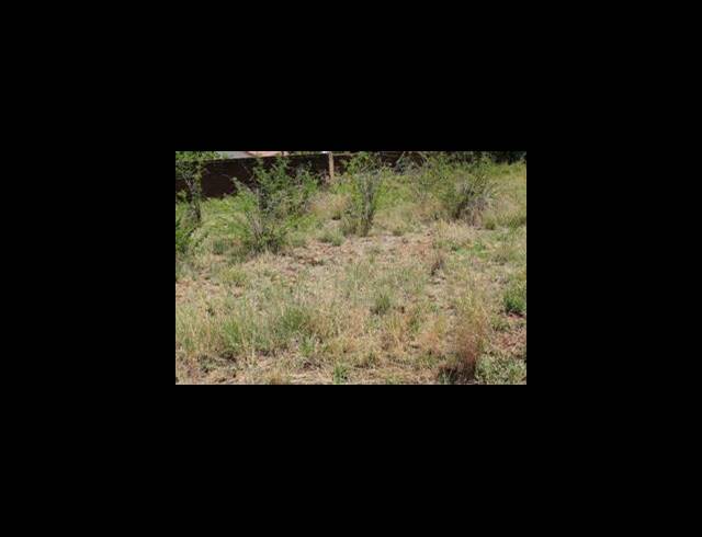 LAND FOR SALE IN MABOPANE UNIT M